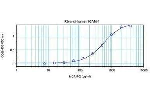 Image no. 3 for anti-Intercellular Adhesion Molecule 1 (ICAM1) antibody (ABIN465660) (ICAM1 抗体)