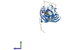 AlphaFold protein structure predicition of Human Recombinant SCARB1 Protein, UniprotID Q8WTV0