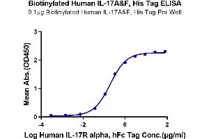 Immobilized Biotinylated Human IL-17A&F, His Tag at 1 μg/mL (100 μL/Well) on the plate.