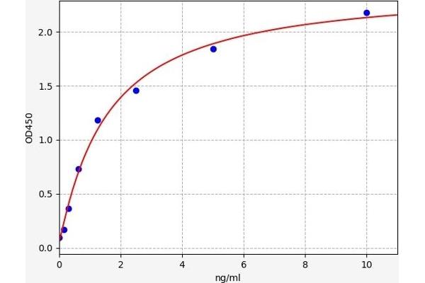 Ectodysplasin A ELISA 试剂盒