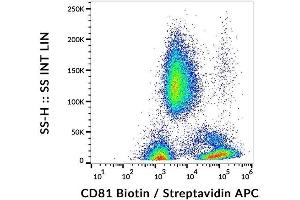 Surface staining of CD81 in human peripheral blood with anti-CD81 (M38) biotin, streptavidin-APC. (CD81 抗体  (Biotin))