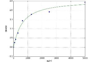 A typical standard curve