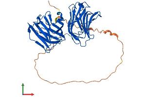 Protein Structure (PS) image for Lectin, Galactoside-Binding, Soluble, 9C (LGALS9C) (AA 1-356) protein (His tag) (ABIN7549024)