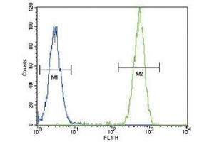 TERT antibody flow cytometric analysis of HeLa cells (green) compared to a negative control (blue).