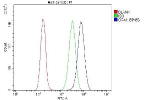 Flow Cytometry analysis of CACO-2 cells using anti-ORAI1 antibody (ABIN7601852). (ORAI1 抗体  (AA 49-301))