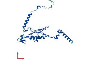 AlphaFold protein structure predicition of Human Recombinant RPL13 Protein, UniprotID P26373 (RPL13 Protein (AA 1-211) (His tag))