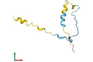 Protein Structure (PS) image for CDC42 Small Effector 1 (CDC42SE1) (AA 1-79) protein (Fc Tag) (ABIN7552856)