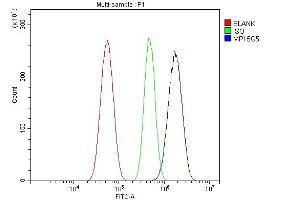 Flow Cytometry analysis of U87 cells using anti-MPI antibody (ABIN7600514).