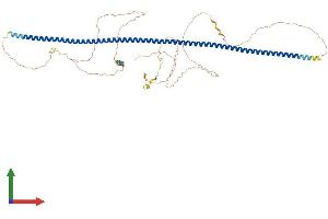 Protein Structure (PS) image for POC5 Centriolar Protein Homolog (POC5) (AA 1-575) protein (His tag) (ABIN7550929)