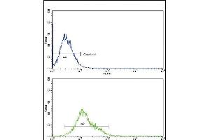 Flow Cytometry (FACS) image for anti-Cytochrome P450, Family 8, Subfamily B, Polypeptide 1 (CYP8B1) (AA 471-501), (C-Term) antibody (ABIN652734)