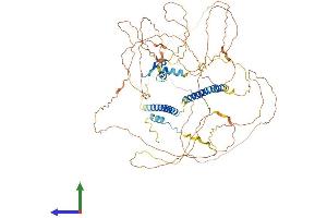 AlphaFold protein structure predicition of Mouse Recombinant Dact2 Protein, UniprotID Q7TN08
