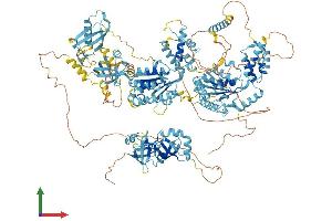 Protein Structure (PS) image for Peroxisomal Biogenesis Factor 1 (PEX1) (AA 1-1284) protein (His tag) (ABIN7563797)