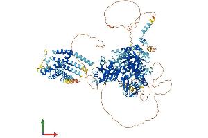 AlphaFold protein structure predicition of Human Recombinant KCNT1 Protein, UniprotID Q5JUK3