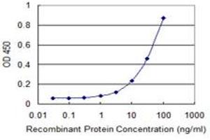 Detection limit for recombinant GST tagged RXRB is 1 ng/ml as a capture antibody. (Retinoid X Receptor beta 抗体  (AA 161-260))