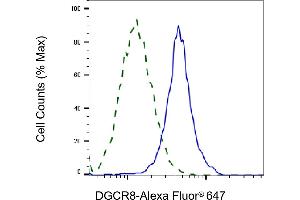 Validation of DGCR8 knockdown using flow cytometry. (Recombinant DGCR8 抗体)