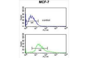 KRT1 Antibody (Center) flow cytometric analysis of MCF-7 cells (bottom histogram) compared to a negative control cell (top histogram). (Cytokeratin 1 抗体  (Middle Region))