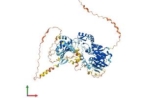 Protein Structure (PS) image for Zinc Finger, MYND-Type Containing 15 (ZMYND15) (AA 1-742) protein (His tag) (ABIN7545300)
