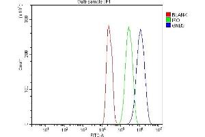 Flow Cytometry analysis of C6 cells using anti-GNB3 antibody (ABIN7599726).
