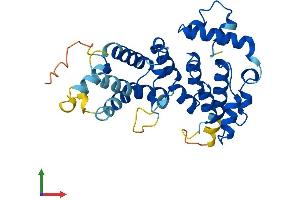 Protein Structure (PS) image for Ankyrin Repeat and SOCS Box Containing 17 (ASB17) (AA 1-295) protein (His tag) (ABIN7559929)