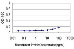 Detection limit for recombinant GST tagged BZRP is approximately 10ng/ml as a capture antibody. (TSPO 抗体  (AA 1-169))
