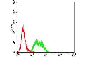 Flow cytometric analysis of Hela cells using MSH6 mouse mAb (green) and negative control (red). (MSH6 抗体  (AA 217-395))
