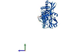 AlphaFold protein structure predicition of Human Recombinant TMPRSS11B Protein, UniprotID Q86T26