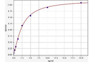 IBSP ELISA 试剂盒