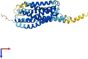 AlphaFold protein structure predicition of Mouse Recombinant Gpr55 Protein, UniprotID Q3UJF0