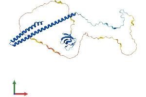 Protein Structure (PS) image for ABI Family, Member 3 (ABI3) (AA 1-366) protein (His tag) (ABIN7551768)