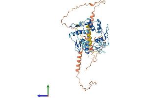 Protein Structure (PS) image for Zinc Finger Protein 3 (ZNF3) (AA 1-446) protein (His tag) (ABIN7545834)