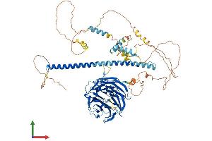 Protein Structure (PS) image for Striatin (STRN) (AA 1-780) protein (His tag) (ABIN7562483)