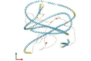 AlphaFold protein structure predicition of Human Recombinant SFI1 Protein, UniprotID A8K8P3