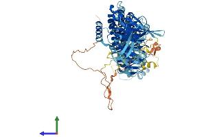 Protein Structure (PS) image for Anaphase Promoting Complex Subunit 4 (ANAPC4) (AA 1-808) protein (His tag) (ABIN7552169)