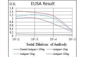 Black line: Control Antigen (100 ng), Purple line: Antigen(10 ng), Blue line: Antigen (50 ng), Red line: Antigen (100 ng), (UBE2I 抗体)