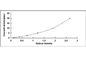 Typical standard curve (FAP ELISA 试剂盒)