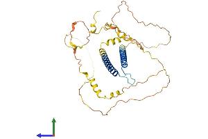Protein Structure (PS) image for Basic Helix-Loop-Helix Family, Member E22 (BHLHE22) (AA 1-355) protein (His tag) (ABIN7564519)