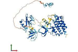 Protein Structure (PS) image for Src-Related Kinase Lacking C-Terminal Regulatory Tyrosine and N-Terminal Myristylation Sites (SRMS) (AA 1-496) protein (His tag) (ABIN7557777)