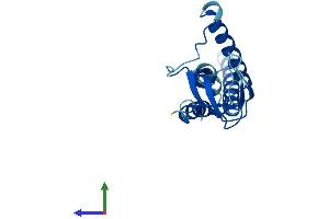 Protein Structure (PS) image for GINS Complex Subunit 1 (Psf1 Homolog) (GINS1) (AA 1-196) protein (His tag) (ABIN7551078)