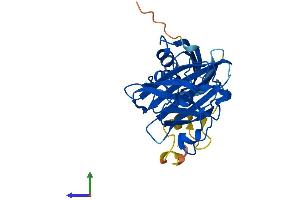 Protein Structure (PS) image for Copper Chaperone For Superoxide Dismutase (CCS) (AA 1-274) protein (His tag) (ABIN7552987)