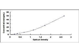 Typical standard curve (OAS2 ELISA 试剂盒)
