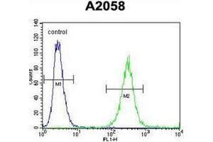 anti-GRB2-Associated Binding Protein Family, Member 4 (GAB4) (AA 71-100), (N-Term) antibody
