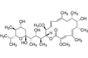 Chemical structure of Bafilomycin A1 , a Autophagy inhibitor. (Bafilomycin A1)