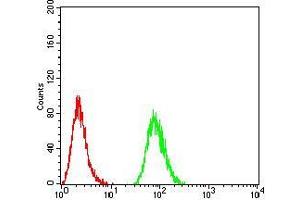 Flow Cytometry (FACS) image for anti-Potassium Intermediate/small Conductance Calcium-Activated Channel, Subfamily N, Member 2 (KCNN2) (AA 36-52) antibody (ABIN5542523)