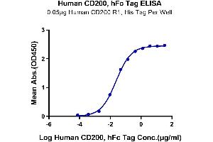 Immobilized Human CD200 R1, His Tag at 0.
