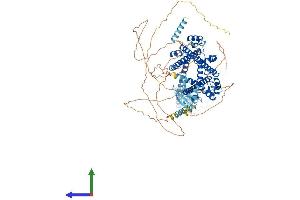 AlphaFold protein structure predicition of Human Recombinant PRPF40B Protein, UniprotID Q6NWY9
