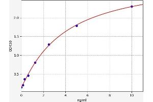 gamma Glutamyltransferase 1 (GGT1) ELISA Kit