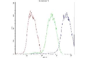 Flow Cytometry analysis of K562 cells using anti-ATF2 antibody (ABIN3043791). (ATF2 抗体  (AA 93-450))