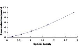 Typical standard curve (HSPB6 ELISA 试剂盒)