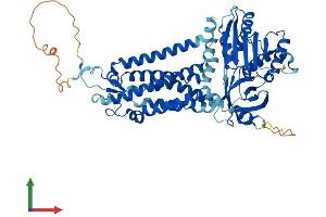 Protein Structure (PS) image for NADPH Oxidase 4 (NOX4) (AA 1-578) protein (His tag) (ABIN7554739)