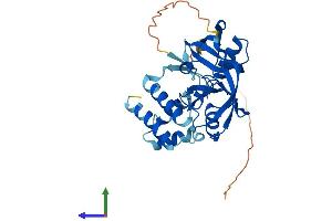 Protein Structure (PS) image for GIPC PDZ Domain Containing Family, Member 2 (GIPC2) (AA 1-315) protein (His tag) (ABIN7547947)
